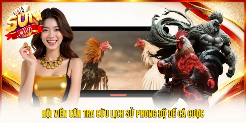Hội viên cần tra cứu lịch sử phong độ để cá cược